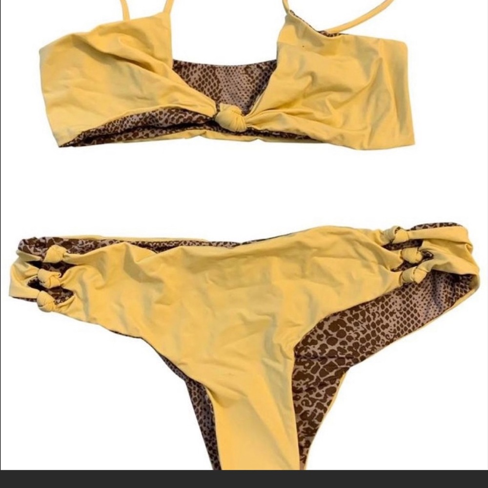 Acacia Pale Yellow